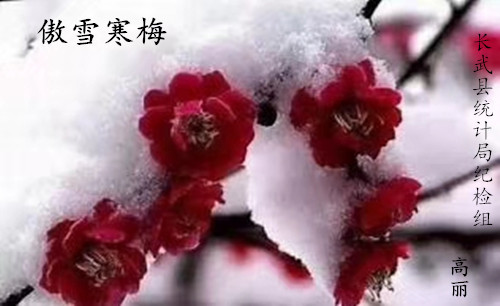 统计局1.jpg